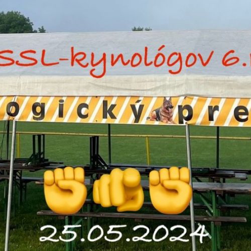42edcfef 0984 4290 88af 6062a4835483